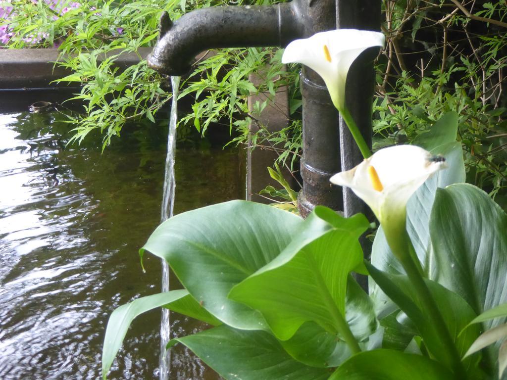 La Casa Del Giardiniere Βίλα Zero Branco Εξωτερικό φωτογραφία