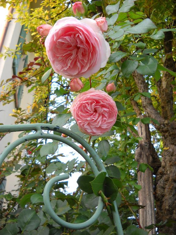 La Casa Del Giardiniere Βίλα Zero Branco Εξωτερικό φωτογραφία