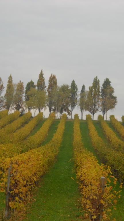 La Casa Del Giardiniere Βίλα Zero Branco Εξωτερικό φωτογραφία